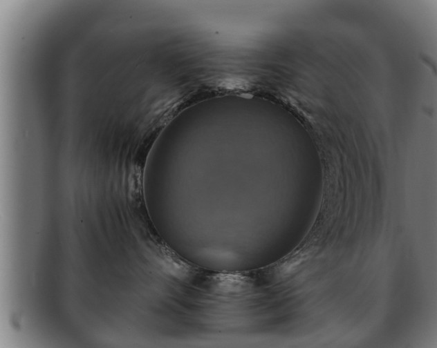 X0000091860528200709121332