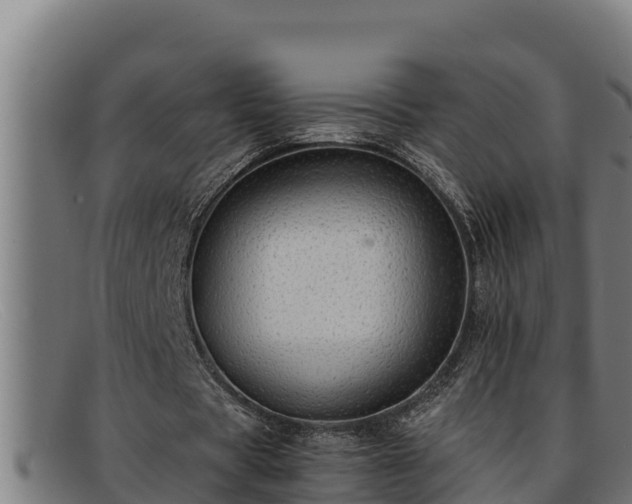 X0000091860529200709121331