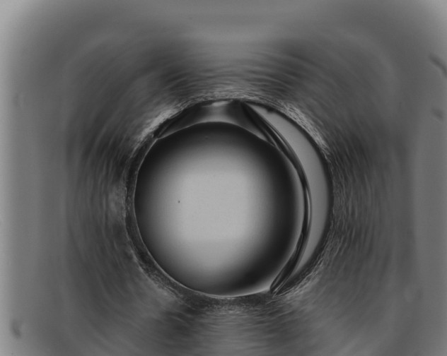 X0000091860530200709121331