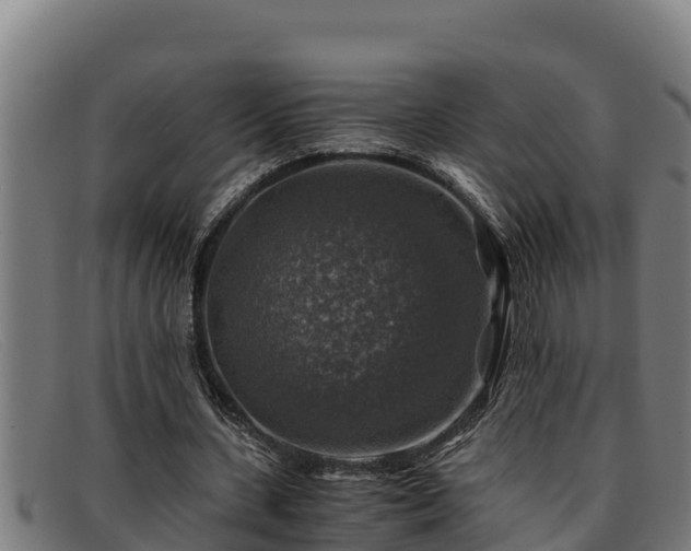 X0000091860531200709121331