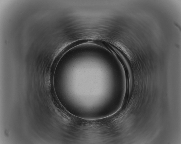 X0000091860532200709121331