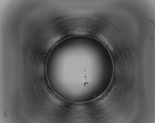 X0000091860533200709121331