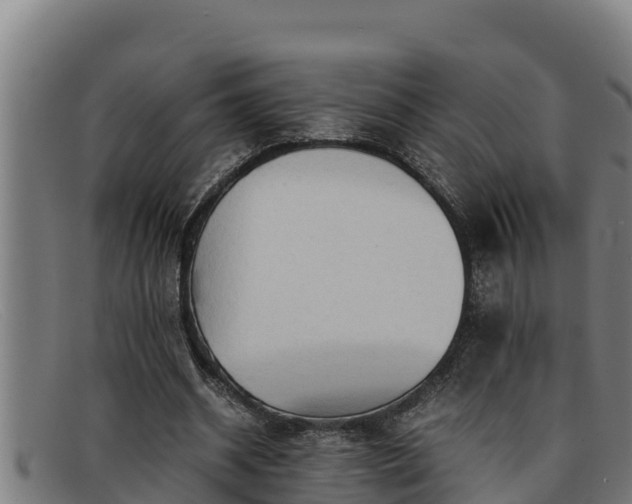 X0000091860534200709121331