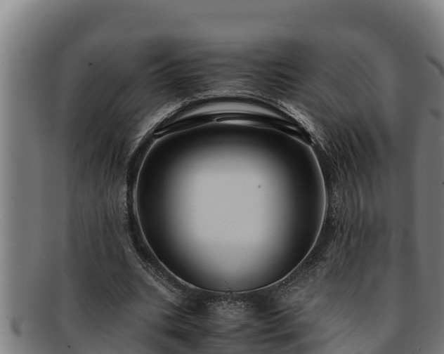 X0000091860535200709121331