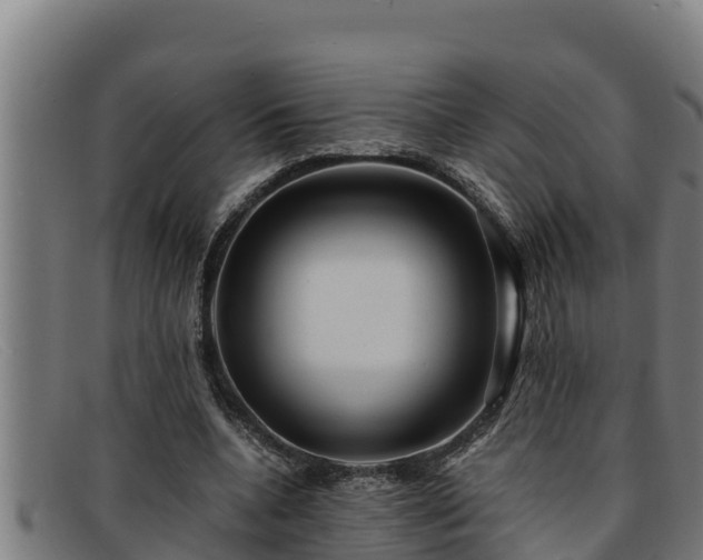 X0000091860536200709121331