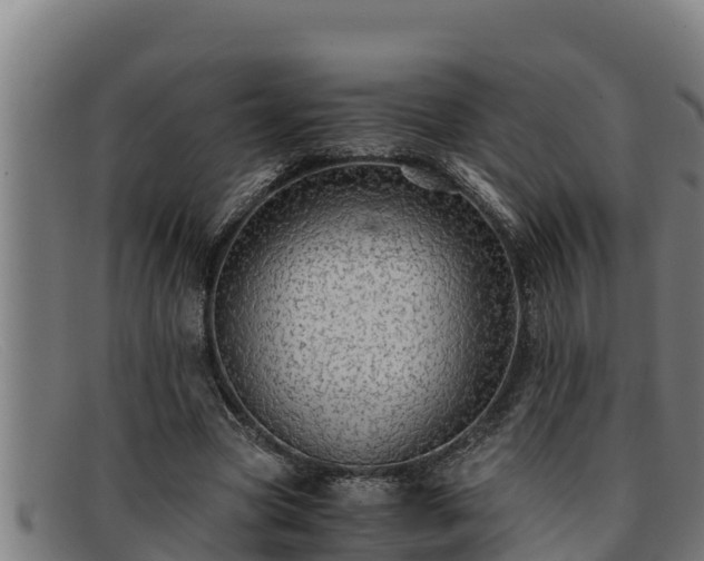 X0000091860537200709121331