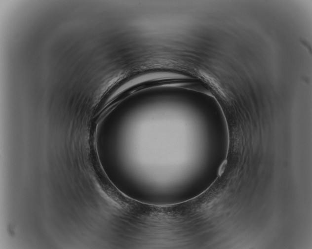 X0000091860538200709121331