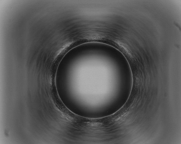 X0000091860539200709121331