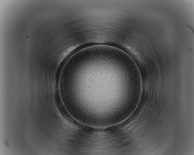 X0000091860540200709121332