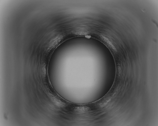 X0000091860541200709121332