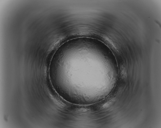 X0000091860542200709121332