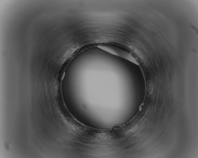 X0000091860544200709121332