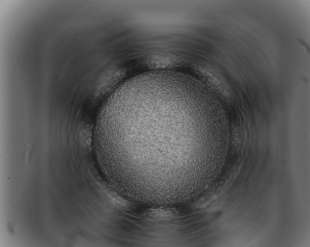 X0000091860545200709121332