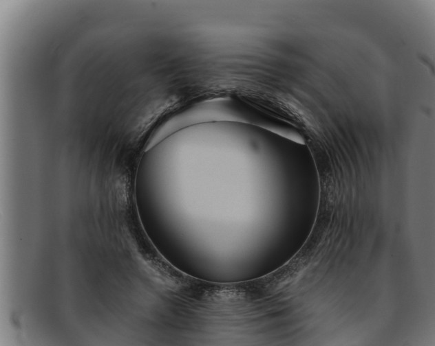 X0000091860546200709121332