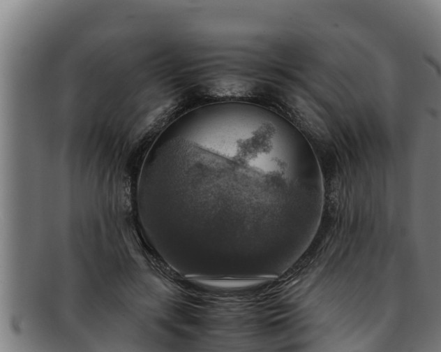 X0000091860547200709121332