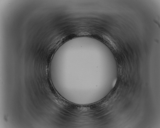 X0000091860549200709121332