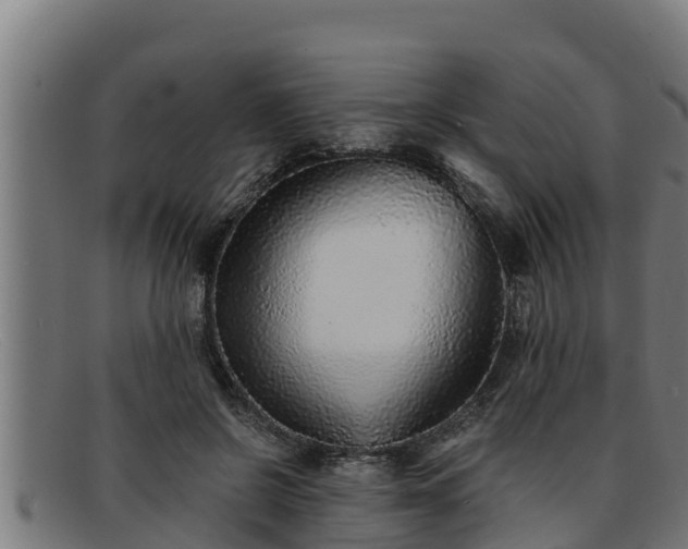 X0000091860550200709121332