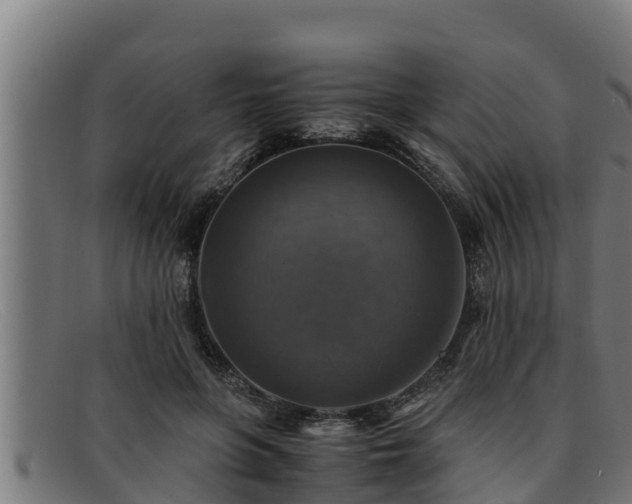 X0000091860551200709121332