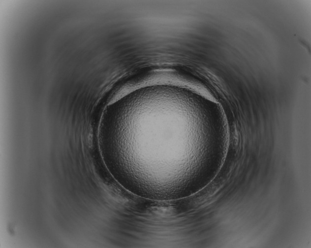 X0000091860552200709121332