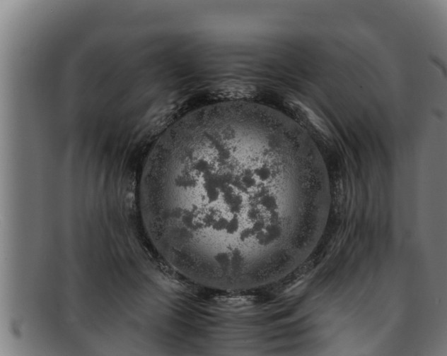 X0000091860553200709121332