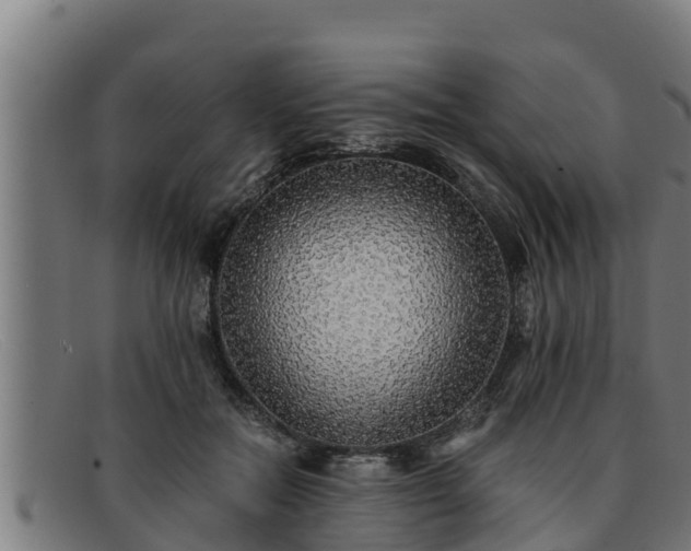 X0000091860554200709121332