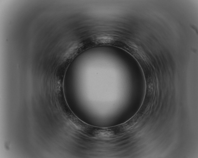 X0000091860555200709121332