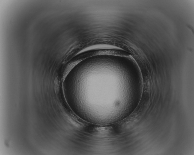 X0000091860558200709121332