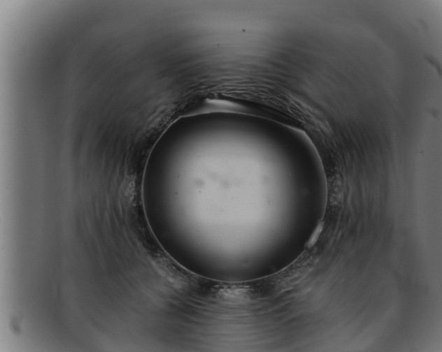 X0000091860560200709121332