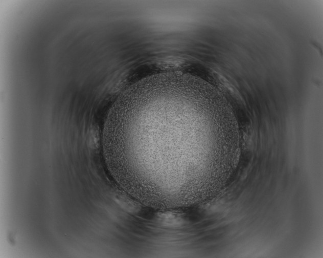 X0000091860561200709121332