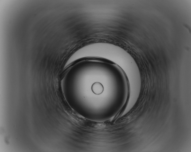 X0000091860562200709121332