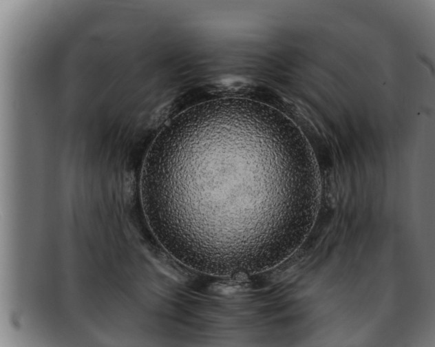 X0000091860563200709121332