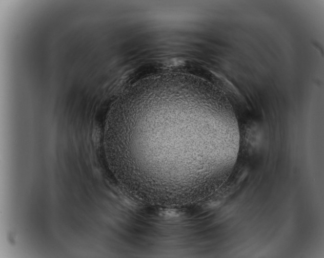 X0000091860565200709121332