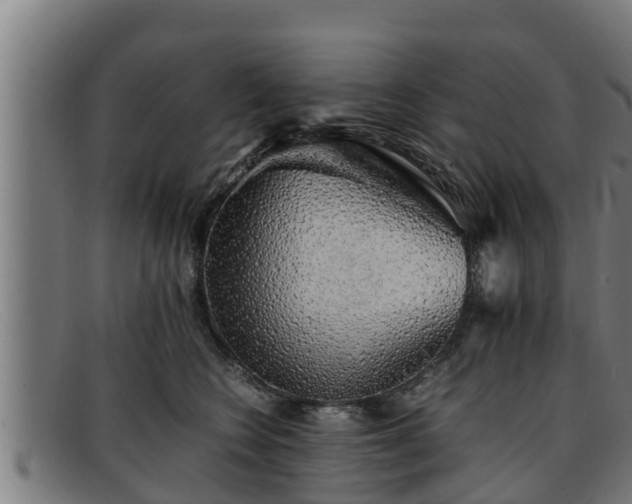 X0000091860566200709121332