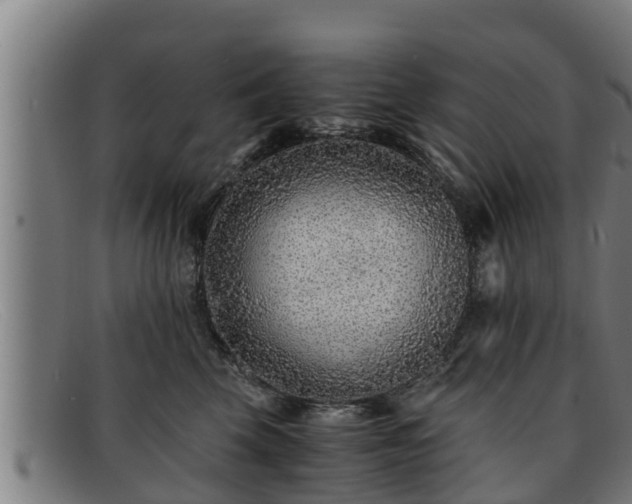 X0000091860569200709121332