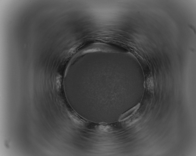 X0000091860570200709121332