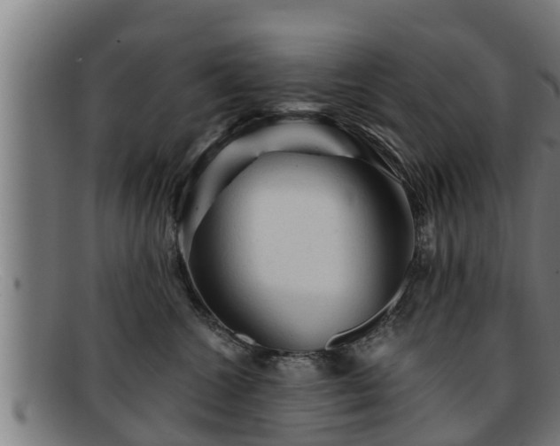 X0000091860572200709121332