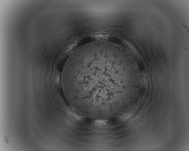 X0000091860573200709121332