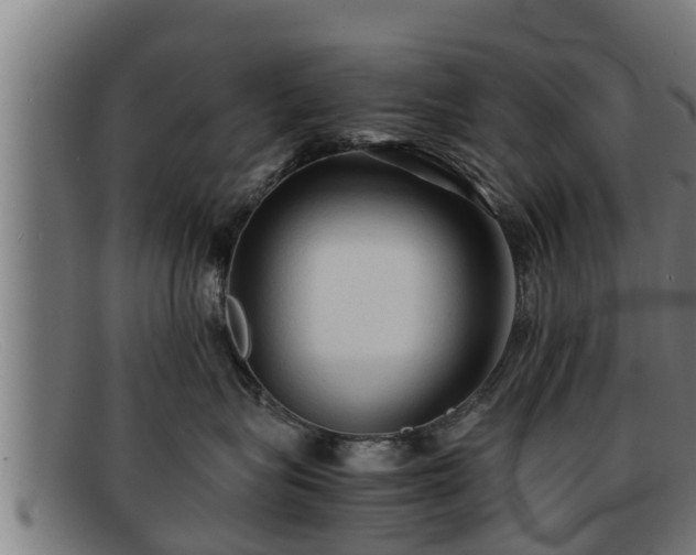 X0000091860575200709121332