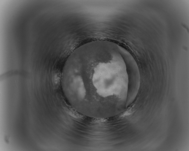 X0000091860576200709121332