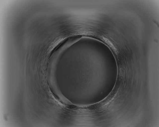 X0000091860577200709121331