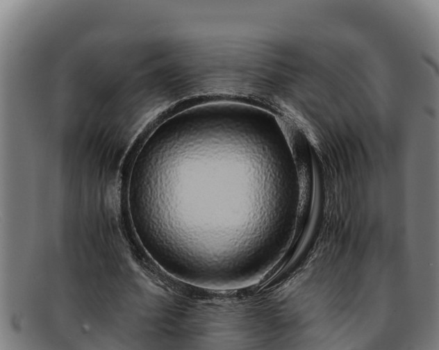 X0000091860580200709121331