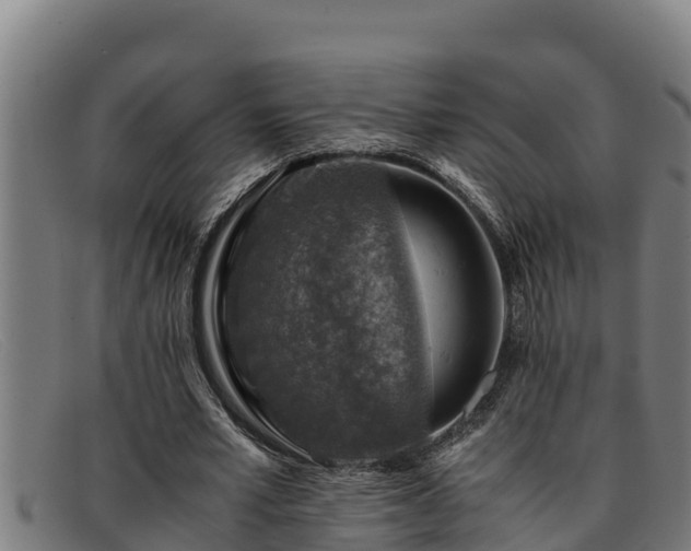 X0000091860581200709121331