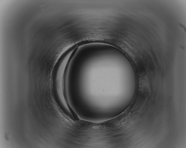 X0000091860584200709121331