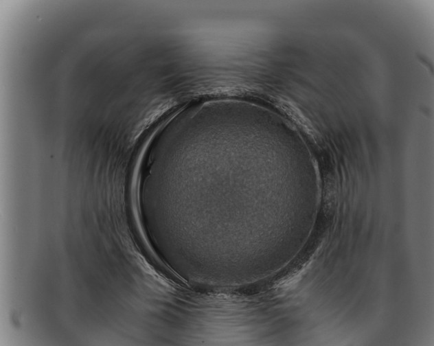 X0000091860585200709121331