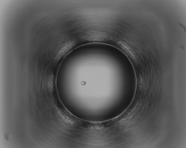 X0000091860586200709121331