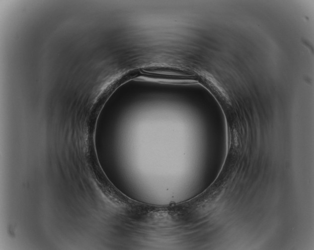 X0000091860588200709121331