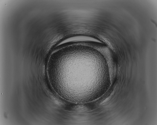 X0000091860589200709121331