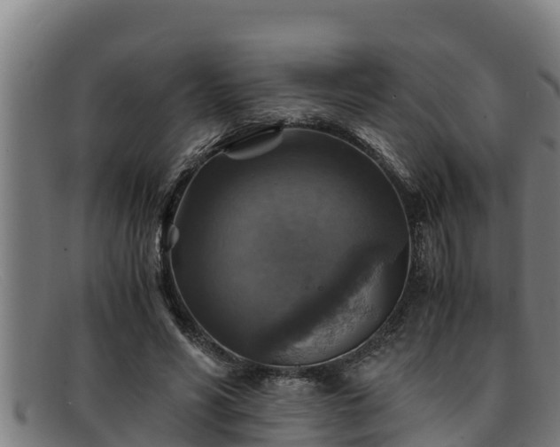 X0000091860590200709121331