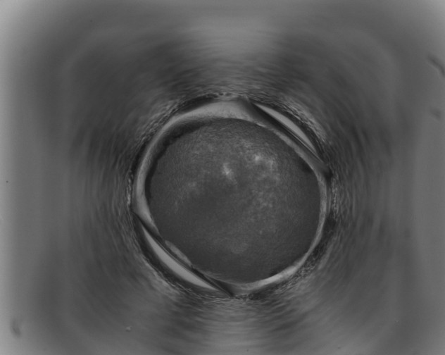 X0000091860593200709121331