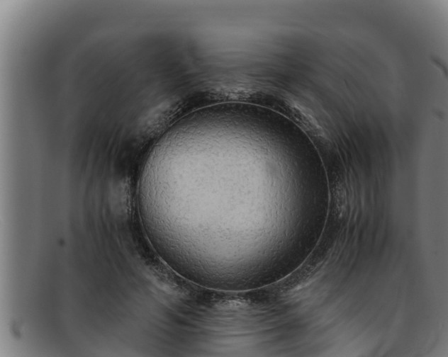 X0000091860594200709121331